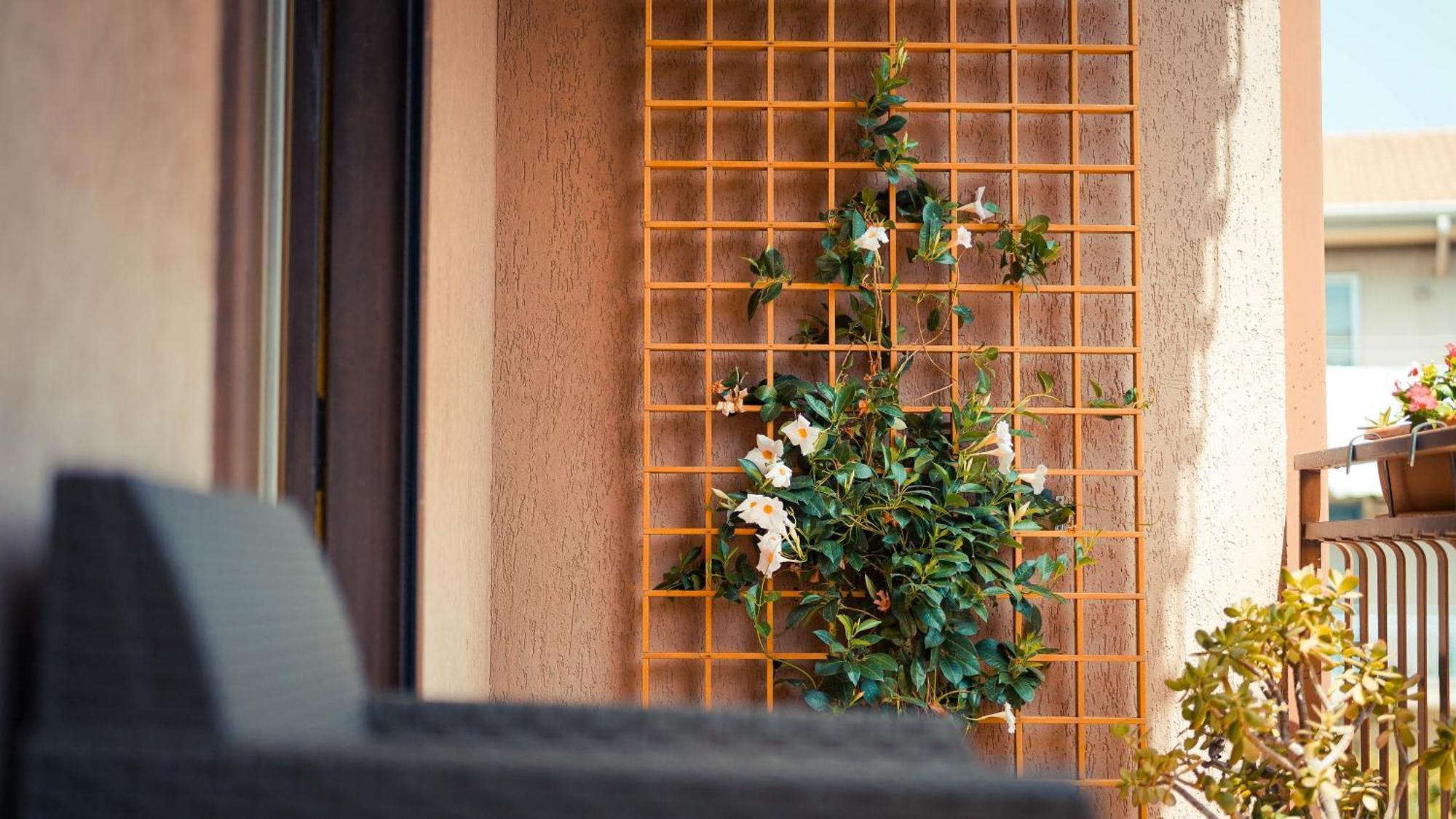 Av Apartment Aci Castello Exterior photo
